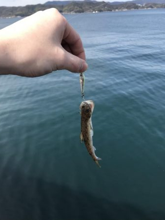 デイアジング…？