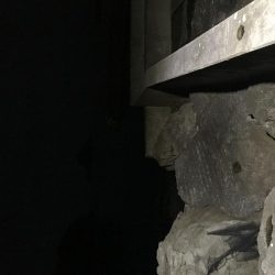 メバルを求めて！