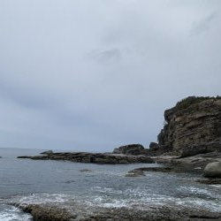 ライトテキサス