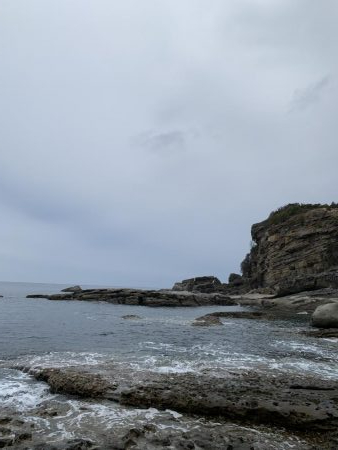 ライトテキサス