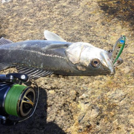 天神川河口調査