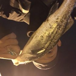 林崎漁港でメバリング