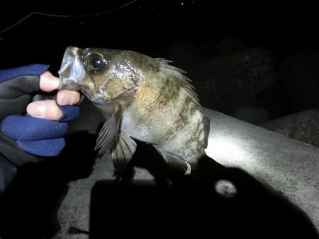 渋い中で何とか25㎝