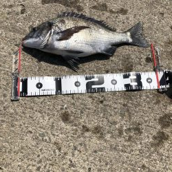 強風の中 ボウズ逃れられました！