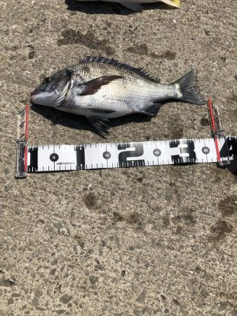 強風の中 ボウズ逃れられました！