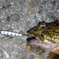 今夜は厳しい戦い！！