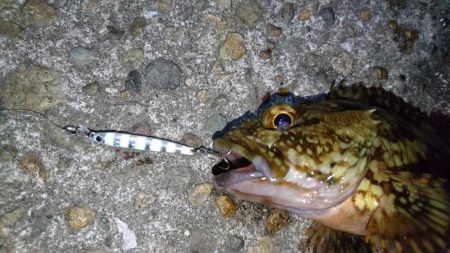 今夜は厳しい戦い！！