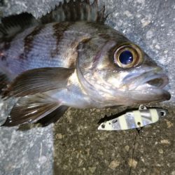 今夜は何でもあり？！