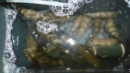 シャッドテールで春爆！！