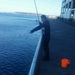 年無し　2尾ゲット！