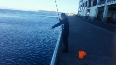 年無し　2尾ゲット！