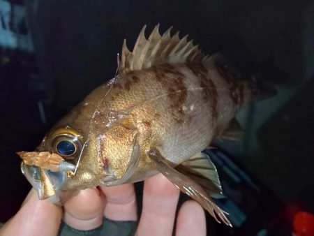 なかなか乗らない