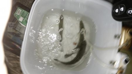 ナイトルアーフィッシング　シーバス