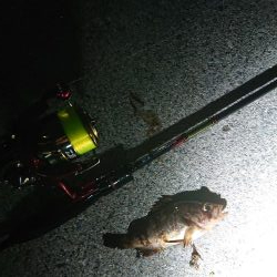 レッツガシリング