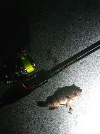 レッツガシリング