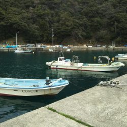 雨のディメバリング