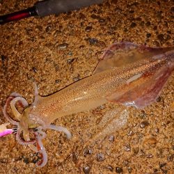 初めての小さな漁港で