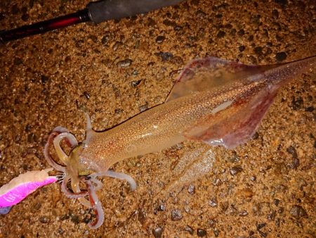 初めての小さな漁港で