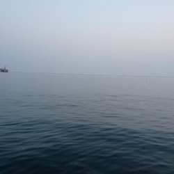 イチロースズキ