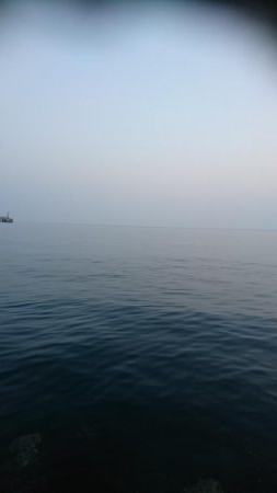 イチロースズキ