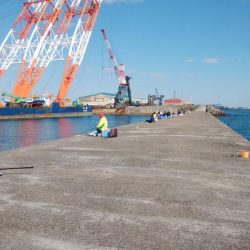播磨新島でキス釣り