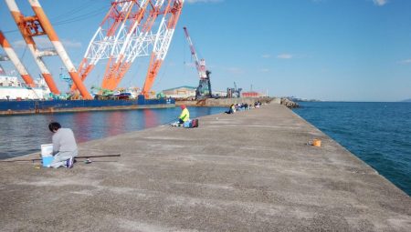 播磨新島でキス釣り