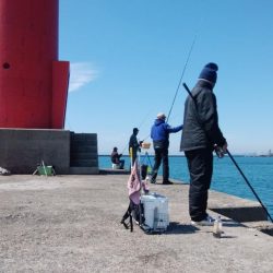 今日も播磨新島