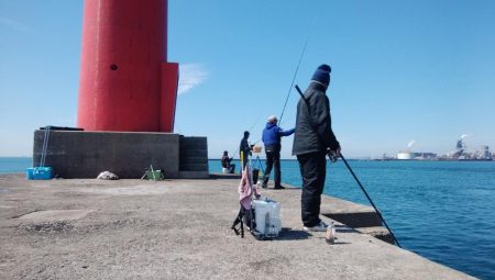 今日も播磨新島