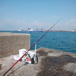 播磨新島でキス釣り
