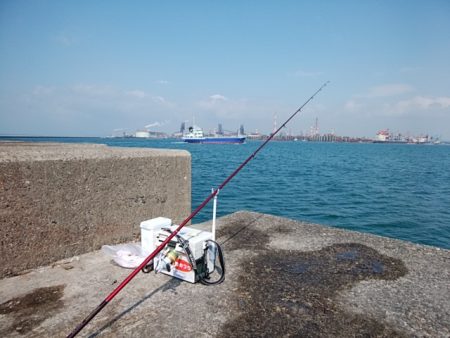 播磨新島でキス釣り