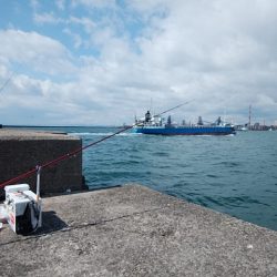 久々に良型キス５匹