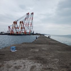 播磨新島のキス情報