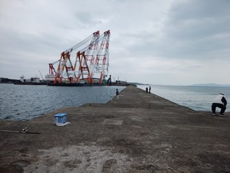 播磨新島のキス情報