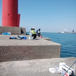 播磨新島のキス情報