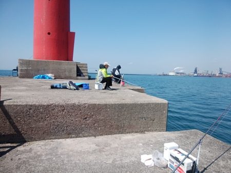 播磨新島のキス情報