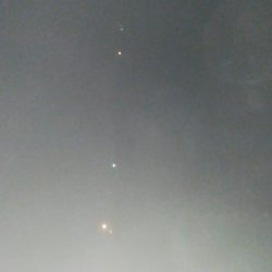 なんとかヒイカ1杯