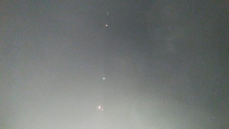 なんとかヒイカ1杯