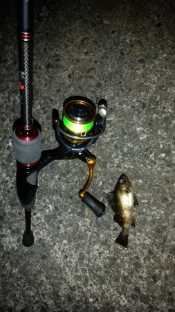 春らしくなって