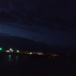 今シーズン最大ヤリイカ！！！