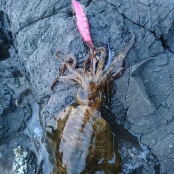 爆風覚悟で出撃