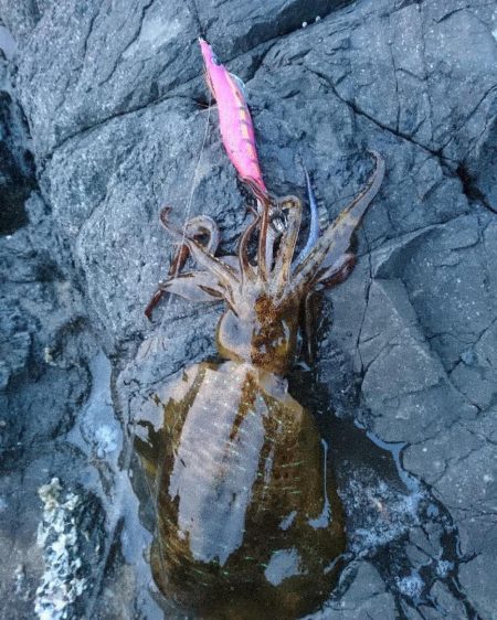 爆風覚悟で出撃