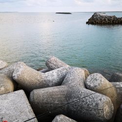 夕方にカライワシ