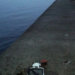 久しぶりの淡路島