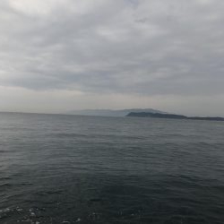 ベイト少なかった