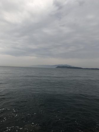 ベイト少なかった