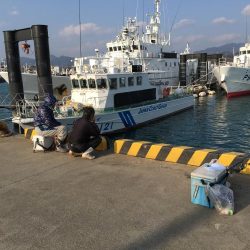 時合い無し 坊主か1匹