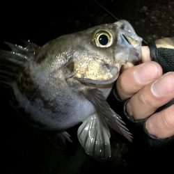 諦めたらそこで試合終了ですよ。