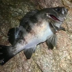 久しぶりのメンバー４人でメバリング