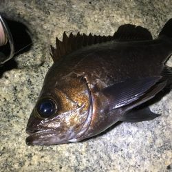 何処も鉄壁のディフェンスっ!!