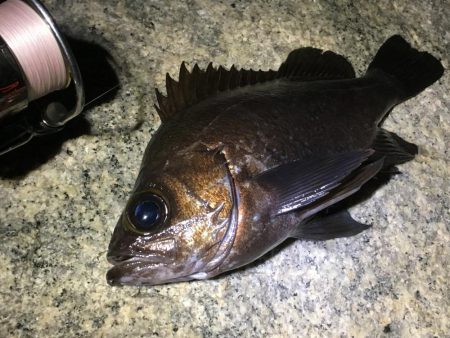 何処も鉄壁のディフェンスっ!!